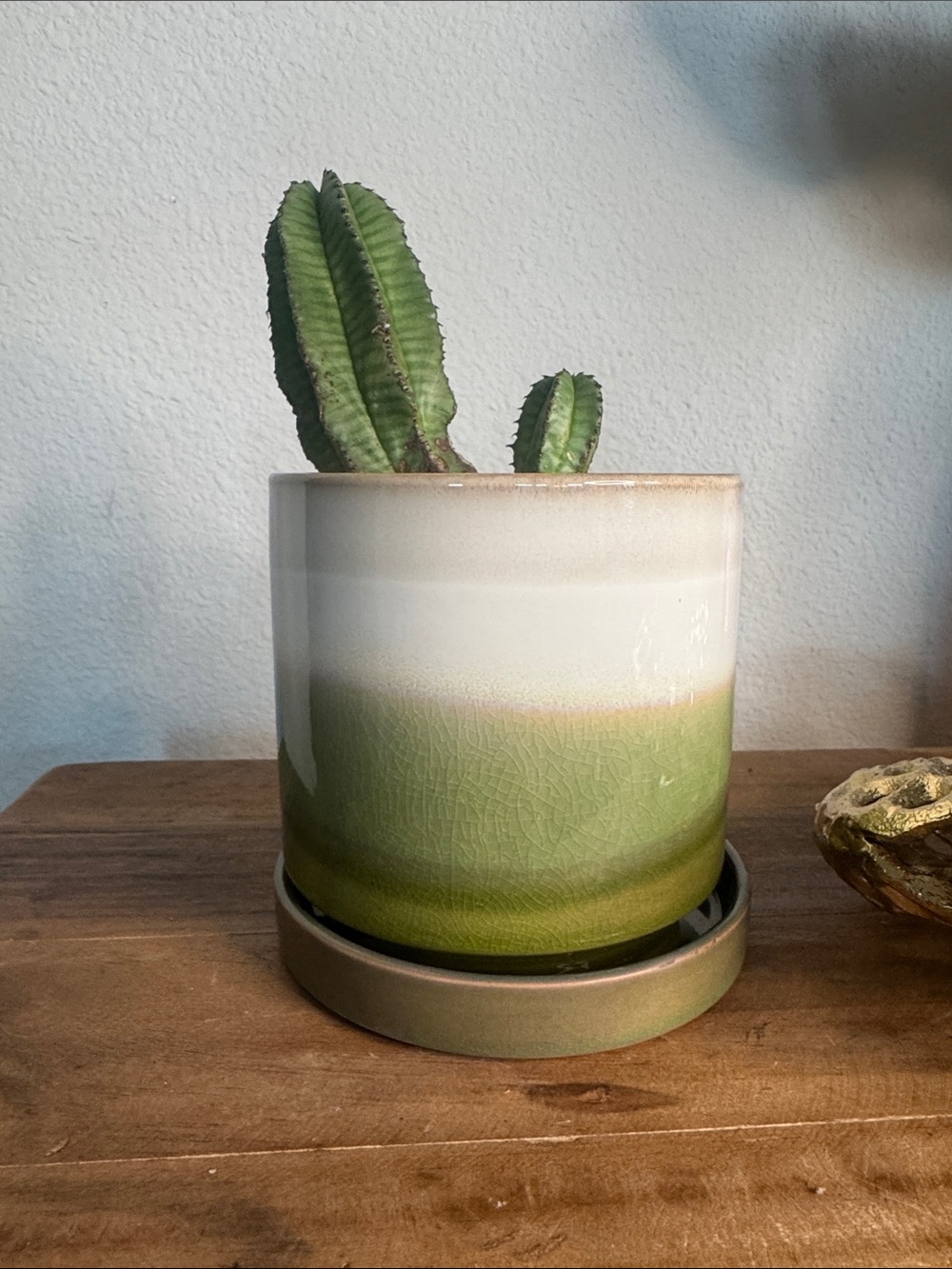 Chive — Two-Tone Green and White Ceramic Planter with Saucer